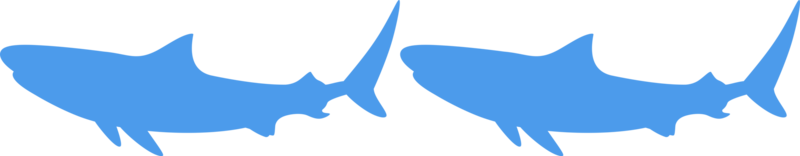 silhouette de requin pour logo, pictogramme, site Web, illustration d'art, infographie ou élément de conception graphique. formatpng png