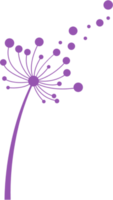 Dandelion purple wind blowing scattered. png