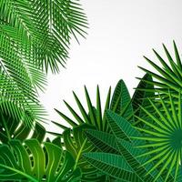 Frame made of leaves on a white background. Jungle tropical floral vector border.