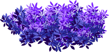 bush clipart png