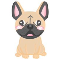 French Bulldog, cute dog animal png