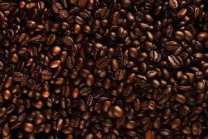 Roasted coffee beans. Coffee beans with low key light layout photo