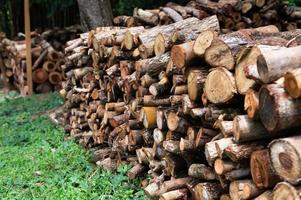 Logging, thick logs lie in the forest against the backdrop of a sunset, copy space, timber photo