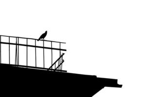 Silhouette of black crow on the roof of house on white isolated background. Design element. Halloween. Copy space photo