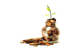 The tree is growing on top a pile of coins in bottle with on white background, Money growing concept and sustainable investment, Business success and financial concept, Banking and economy idea photo