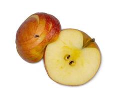 A large red apple cut into wedges. Fresh fruit isolate. A fly sits on an apple. Half of the fruit is cut. photo