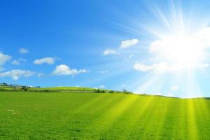Green cultivated field with blue sky and bright sun in the spring sky. photo