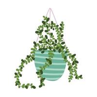 potted plant decoration leaves isolated design icon white background vector