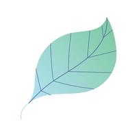 leaf foliage nature botanical isolated icon design white background vector