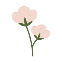 cotton plant flower vector