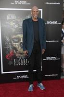 LOS ANGELES - JUN 26   Kareem Abdul-Jabbar at the  Sicario  Day Of The Soldado  Premiere at the Village Theater on June 26, 2018 in Westwood, CA photo