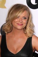 LOS ANGELES - NOV 12 - Amy Poehler at the GQ 2013 Men Of The Year Party at Wilshire Ebell on November 12, 2013 in Los Angeles, CA photo