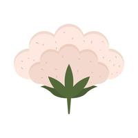 cotton flower flat icon vector