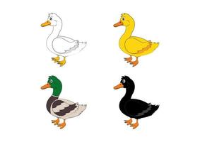 Different colored ducks. Vector Illustration of four different ducks