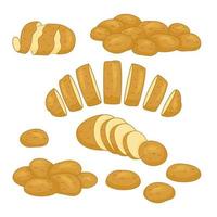 ilustración vectorial del conjunto de productos de patata. papas fritas, panqueques, papas fritas, papas enteras en un estilo realista de dibujos animados. iconos de verduras de cosecha. vector