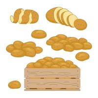 Vector illustration of Potato products set. Chips, pancakes, french fries, whole root potatoes in cartoon realistic style. Harvest vegetables icons.