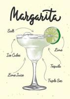 Vector engraved style Margarita alcoholic cocktail illustration for posters, decoration, logo and print. Hand drawn sketch with lettering and recipe, beverage ingredients. Detailed colorful drawing.