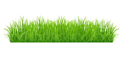 Realistic Grass PNG Free Images with Transparent Background - (7,341 Free  Downloads)