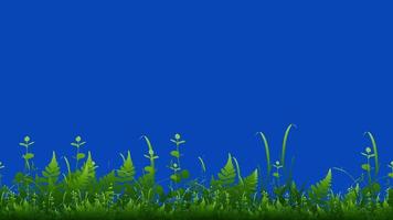 fondo de dibujos animados animados. animación en bucle de hierba. animación en video con hojas de hierba creciendo y moviéndose en el viento. metraje plano. vista lateral. Secuencias de vídeo de bucle sin interrupción de 4k