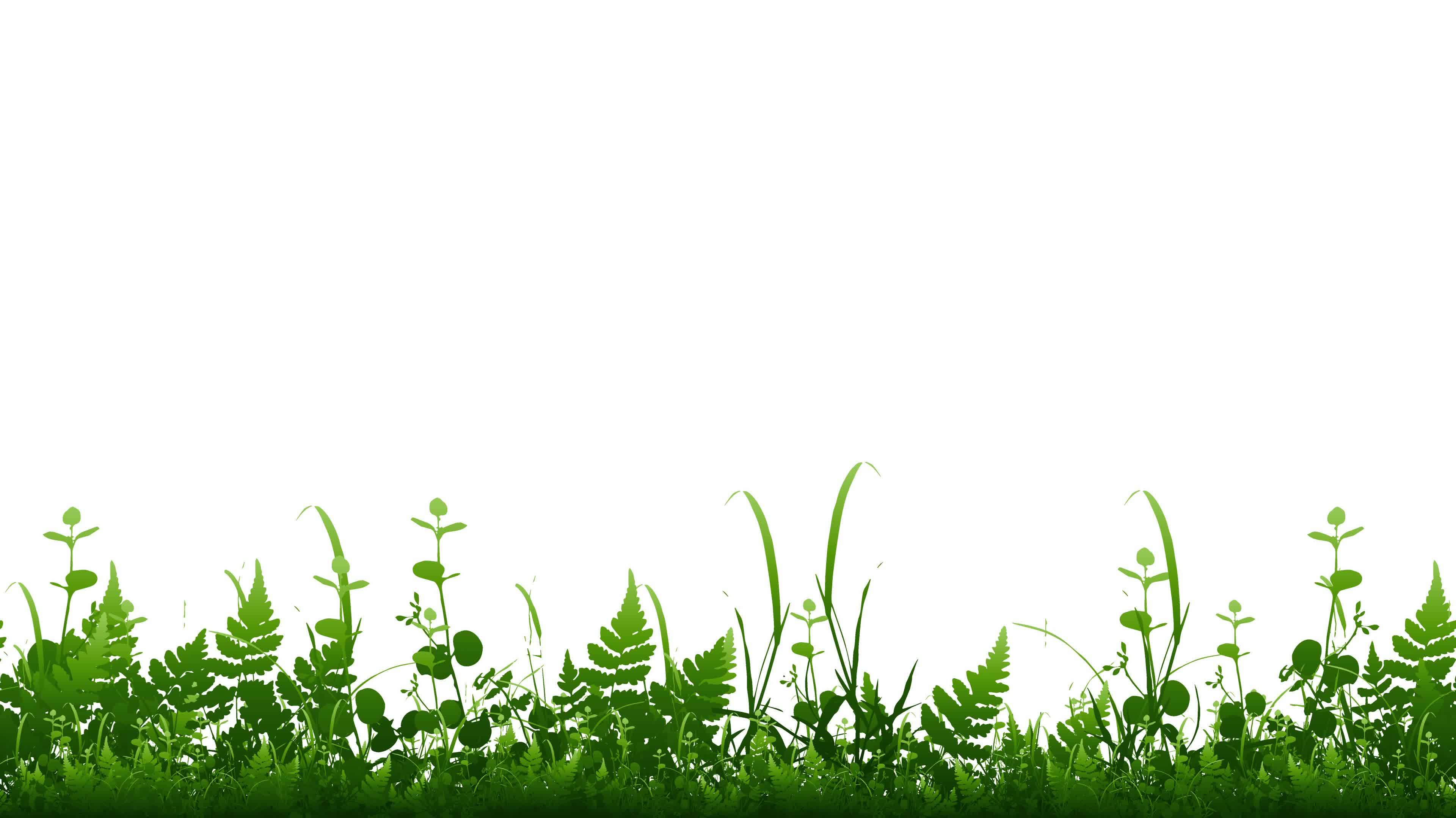 Animated Grass Stock Video Footage for Free Download