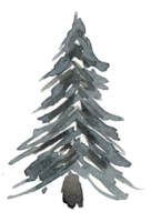 watercolor firtree christmas illustration png