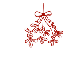 Red Chrsitmas Flower Hanging Outlined png