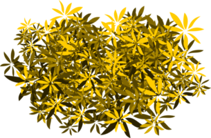 feuilles de brousse png