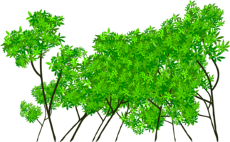 prediseñadas de bosque png