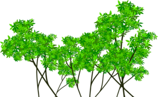 Wald-ClipArt png