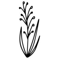 Hand drawn flower in doodle style. One line vector. vector