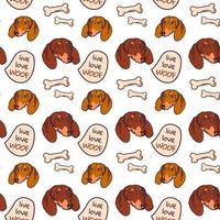 Cartoon pattern with the image of a dachshund dogs head on a white background with the addition of treats, bones and text. Vector illustration