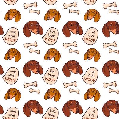 Cartoon pattern with the image of a dachshund dogs head on a white background with the addition of treats, bones and text. Vector illustration 13273144 Vector Art at Vecteezy Cartoon pattern with the image of a dachshund dogs head on a white background with the addition of treats, bones and text. Vector illustration 13273144 Vector Art at Vecteezy