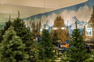 surrounded by mirrored synthetic pine trees, christmas scene photo