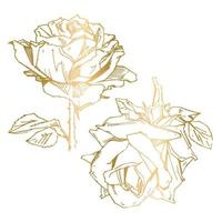 PrintHand drawn rose. Vector illustration. Vintage tattoo style rose. Flower motif sketch for design. Ink illustration isolated.