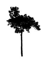 Tree silhouette for brush on white background photo