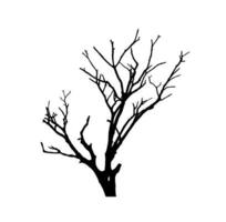 Tree silhouette for brush on white background photo