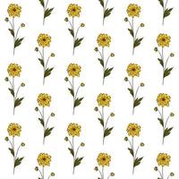 WHITE VECTOR SEAMLESS BACKGROUND WITH YELLOW WILDFLOWERS OF RUDBECKIA