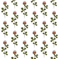 WHITE VECTOR SEAMLESS BACKGROUND WITH RED CLOVER FLOWERS