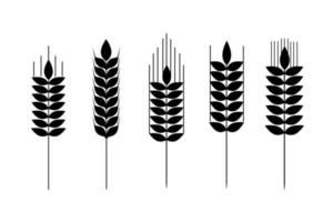 Wheat icon. Collection of wheat spikelets. Agricultural symbol, flour production. Vector silhouettes of wheat. Illustration on a white background.