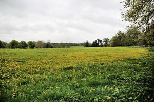 A view of the Shropshire Countryside near Grinshill photo