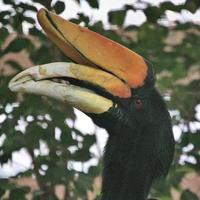 una vista de un pájaro foto