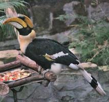 una vista de un pájaro foto