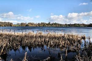 A view of Ellesmere Lake photo