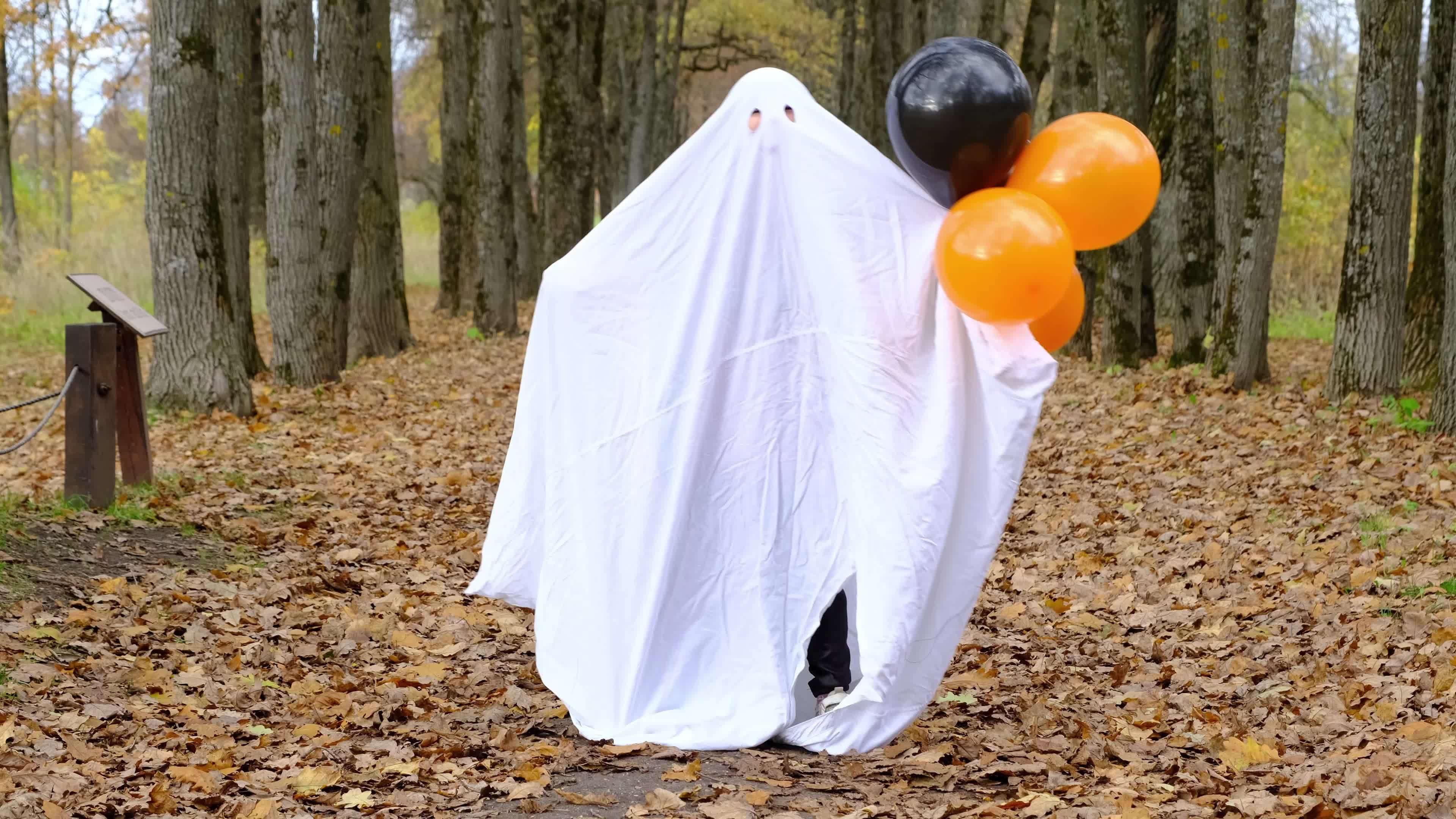 A child in sheets with cutout for eyes like a ghost costume dancing in an  autumn forest scares and terrifies. A kind little funny ghost. Halloween  Party, slow motion 4k 13276289 Stock Video at Vecteezy