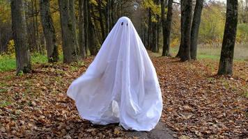 A child in sheets with cutout for eyes like a ghost costume dancing in an autumn forest scares and terrifies. A kind little funny ghost. Halloween Party, slow motion 4k video