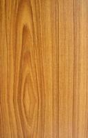 Texture of wood pattern background photo