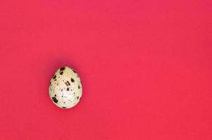 One quail egg on a light red surface, top view, empty place for text photo