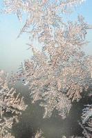 Snowflakes frost rime macro on window glass pane photo