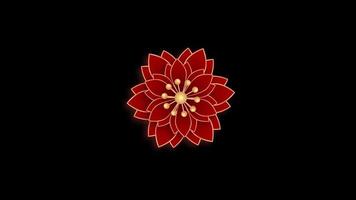 Animation red flower chinese style isolate with black background. video