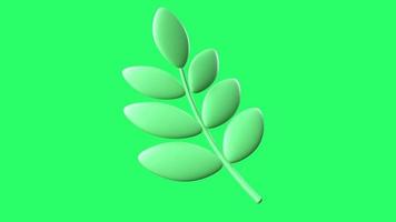 Animation green leaf symbol isolate on green screen. video
